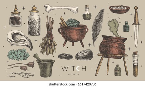 Large vector set of magic items for the witch, wizard. Ancient symbols of witchcraft: potion, skull of a bird, mystical stones and amulets, knife, bone, crystal, mortar. Wicca and pagan traditions.