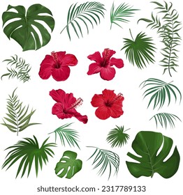 Large vector set of tropical plants and flowers on a white background. Red hibiscus, palm leaves and other tropical plants. . Vector illustration