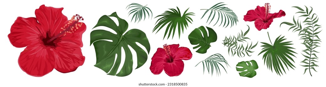 Large vector set of tropical plants and flowers on a white background. Red hibiscus, palm leaves and other tropical plants. Vector illustration