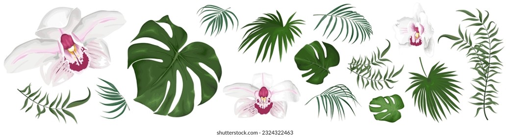 Large vector set of tropical plants and flowers on a white background. White and pink orchid, palm leaves and other tropical plants.