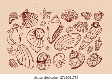 A large vintage set of handdrawn, linear, contour shells, dark burgundy on yellowish, textured parchment.