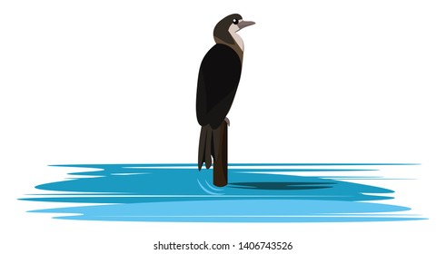 It is a large voracious dark-colored long-necked seabird, used in Asia to catch fish., vector, color drawing or illustration. 