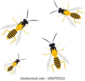 Gran avispa, ilustración, vector sobre un fondo blanco.