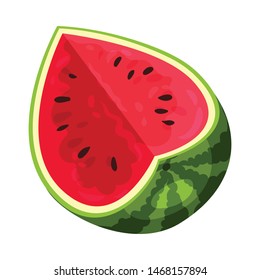 Large watermelon with a slit. Vector illustration on white background.