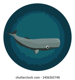 It is large whale and it has a large cavity in head which contains oil., vector, color drawing or illustration. 