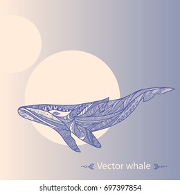 Large whale zentangle style. Vector illustration