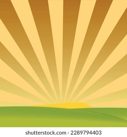 Große Weizendornen auf einem Feld auf einer schönen Natur und Landschaft in der Sonne.