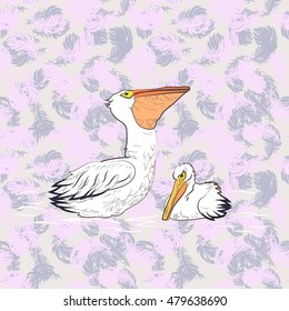 Large white Australian Pelican with chick on water, fashion background with feathers. Color illustration in vector.