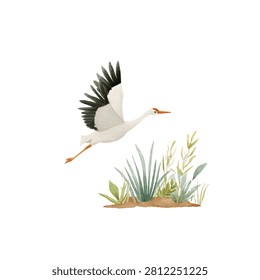 Large white bird with black wings flying