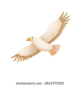 Large white eagle in flight wings spread