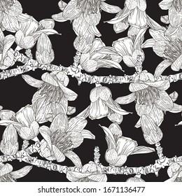 Large white flowers of Bombax Ceiba on a black background. Seamless vector pattern of flowering tree branches.