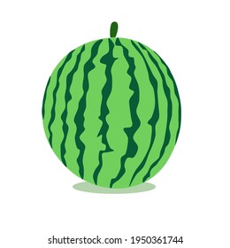 A large white watermelon is delicious. Vector 