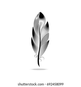 A large wide black and white contour feather. Style engraving