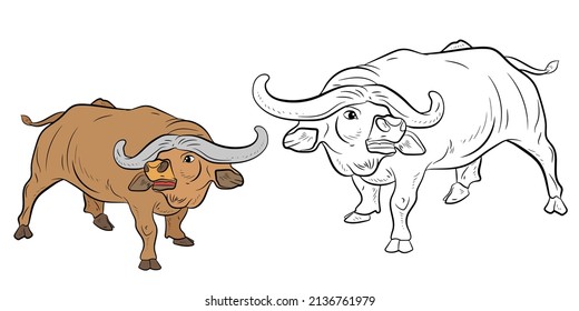 Large wild animal buffalo, black and white image. Coloring book for kids. Vector drawing.