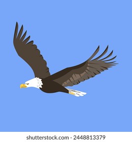 Großer Wildfliegender Adler flacher Stil, Vektorillustration isoliert auf blauem Hintergrund. Dekoratives Gestaltungselement, Natur und Wildtiere, Raubvogel, Symbol der Freiheit