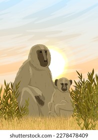 A large Yellow baboon sits in tall grass. Monkeys of the African savanna. Realistic vector vertical landscape