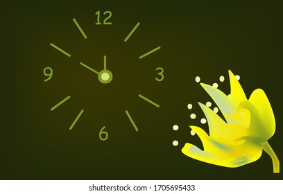 eine große gelbe Blume und eine Uhr auf dunklem Hintergrund.Vektorillustration
