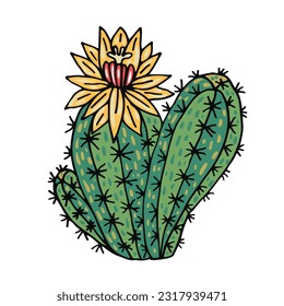 Large yellow flower on cactus flat color vector object. Full sized exotic plant with blossom on white background. Simple cartoon illustration