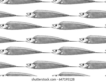 largehead hairtail pattern