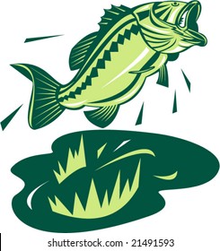 Largemouth bass