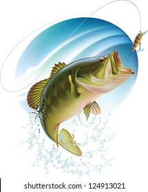 Largemouth bass is catching a bait and jumping in water spray. Layered vector illustration.