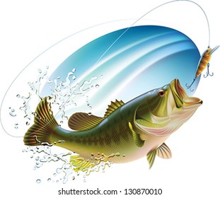 Largemouth bass is catching a bite and jumping in water spray. Layered vector illustration.