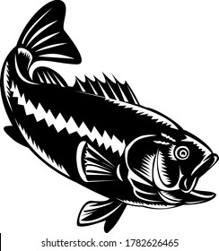 Largemouth Bass Diving Down Black and White Retro Woodcut