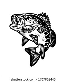 Largemouth Bass Fish. Carnivorous Freshwater Gamefish. Vector Illustration.