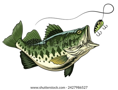 Largemouth Bass Fish Catching the Fishing Lure