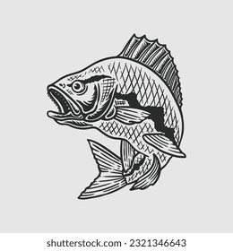 largemouth bass fish hand drawn illustration in vintage style