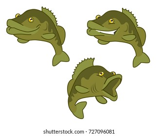 largemouth bass. the fish print on white background. vector