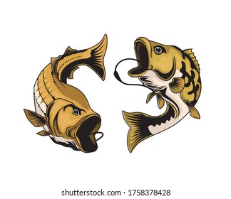 Largemouth bass fish vector illustration