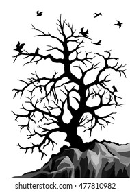 The largest and oldest tree. Refuge for birds