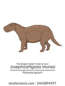 The largest rodent ever known Josephoartigasia Monesi from Pliocene epoch. 