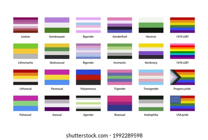 Largest set of sexual identity pride LGBT flags with texture on white