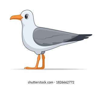 Pájaro de Laridae sobre fondo blanco. Ilustración vectorial de estilo de dibujos animados