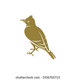 Lark bird design vector illustration, Creative Lark bird logo design concepts template, icon symbol