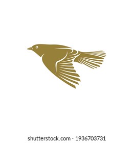 Lark bird design vector illustration, Creative Lark bird logo design concepts template, icon symbol