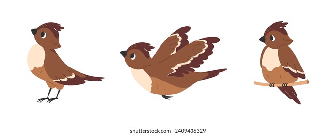 Lark bird set. Skylark flies with its wings spread. Early bird sitting on branch. Brown birdie standing and looking away. Vector flat illustration.