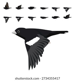 Lark Bunting Flying Animation Sequence Cartoon Vector