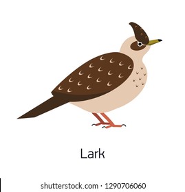 Lark isolated on white background. Beautiful forest passerine bird, adorable woodland songbird. Funny birdie. Avian species. Modern colorful vector illustration in trendy flat geometric style.