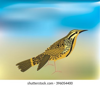 Lark,
Lark Is sitting on The  land,   All elements are in separate layers color can be changed easily