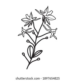 Larkspur Floral Hand Drawn. Vector Design Illustration Sign Logo.