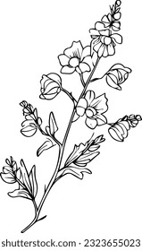 Larkspur. Flower, stem, bud and leaf in black, Floral details in contour style with ornate Delphinium, july birth flower larkspur drawing. 
