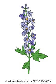 Larkspur - July birth month flower colorful vector illustration. Hand drawn design for tattoo, jewelry, wall arts, cards, invitations. Colored outline sketch drawing Isolated on white background.