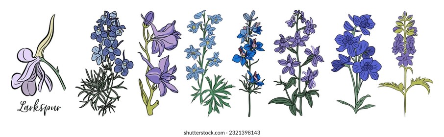 Larkspur July Birth month flower colorful vector illustrations set isolated on white background. Delphinium Modern minimalist design for logo, tattoo, wall art, poster, packaging, sticker, print.