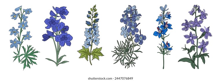 Larkspur, July Birth month flowers vector set.