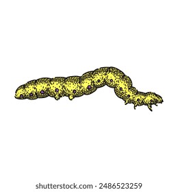 larva caterpillar hand drawn. butterfly bug, cocoon insect, nature animal larva caterpillar vector sketch. isolated color illustration