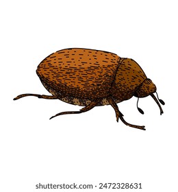 larva chafer hand drawn. soil grub, lawn silhouette, garden summer larva chafer vector sketch. isolated color illustration