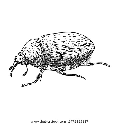 larva chafer hand drawn. soil grub, lawn silhouette, garden summer larva chafer vector sketch. isolated black illustration